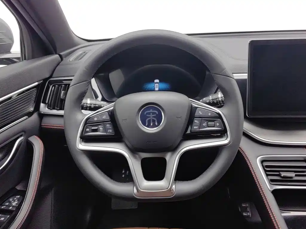 BYD PLUS — миниатюра 11