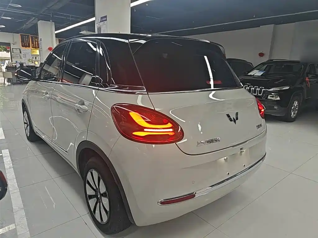 Wuling Binguo 2024 333km Enjoy