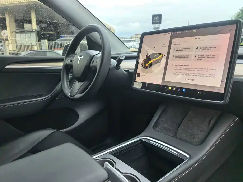 Tesla Model Y — миниатюра 15