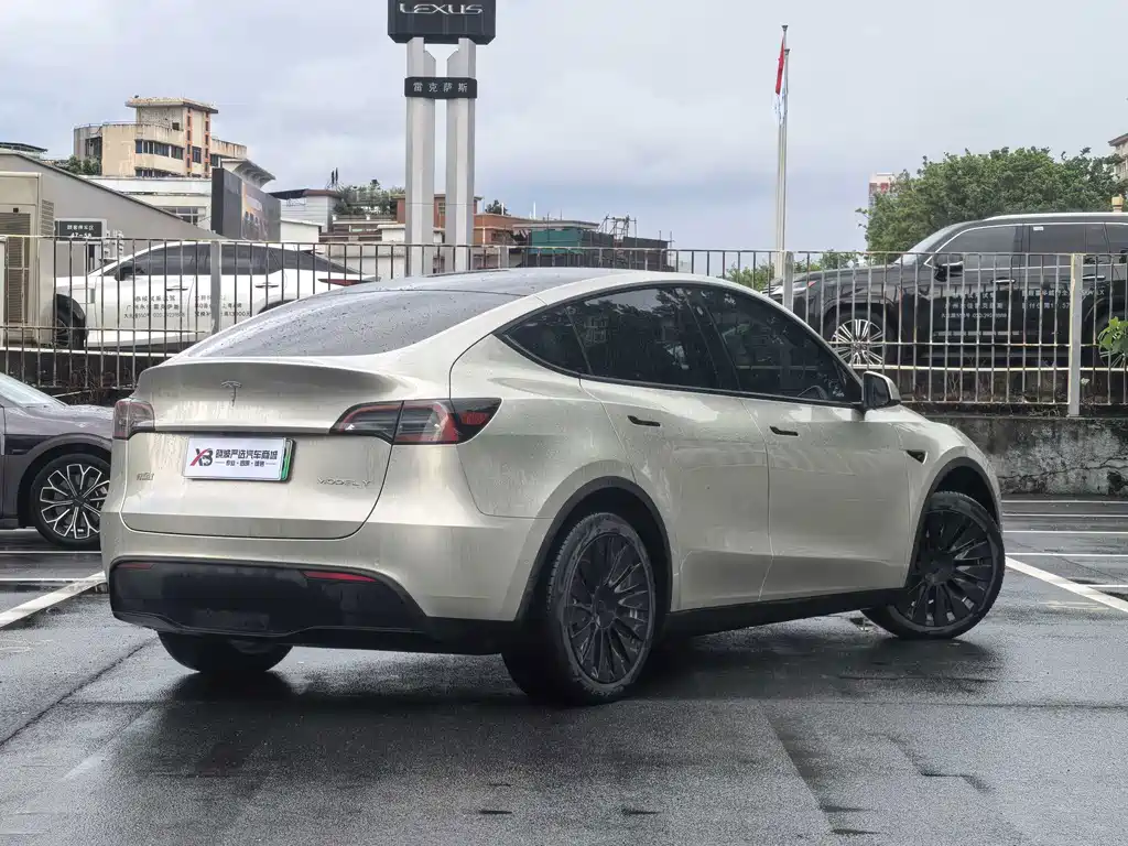 Tesla Model Y — миниатюра 4