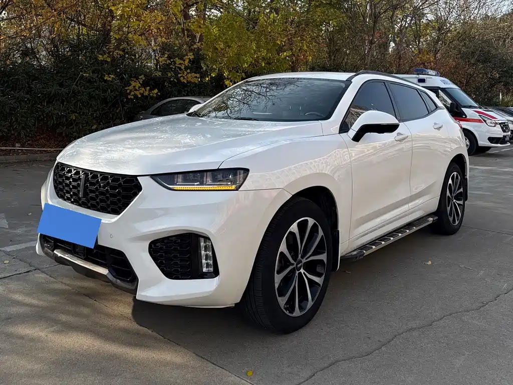 WEI PAI WEI BRAND VV7