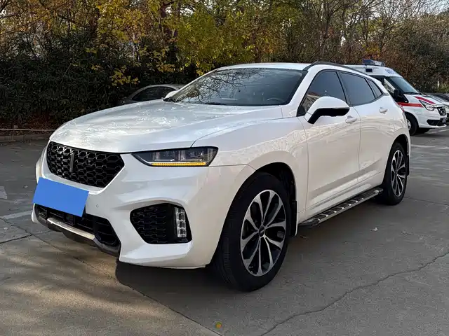 WEI PAI WEI BRAND VV7 2018