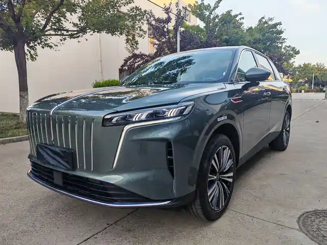 Hongqi HS6