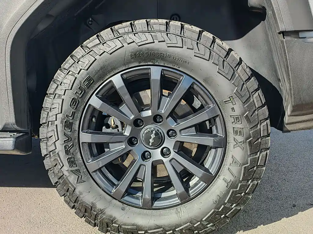 FANG CHENG BAO LEOPARD 5