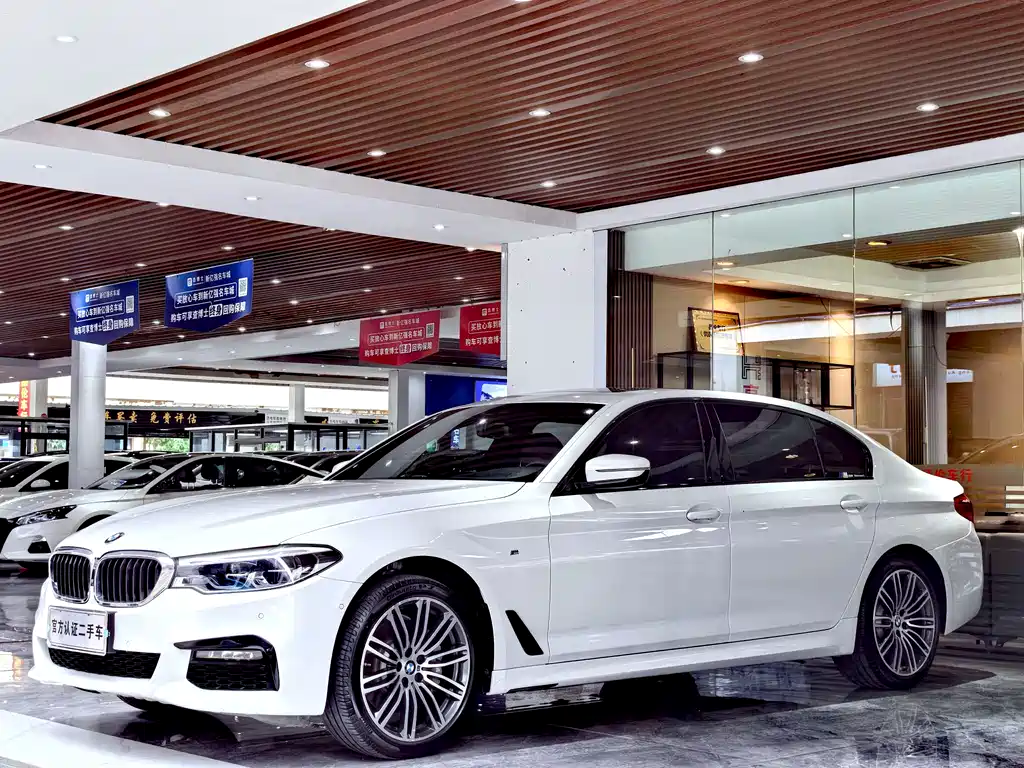 BMW 5 Series 2019