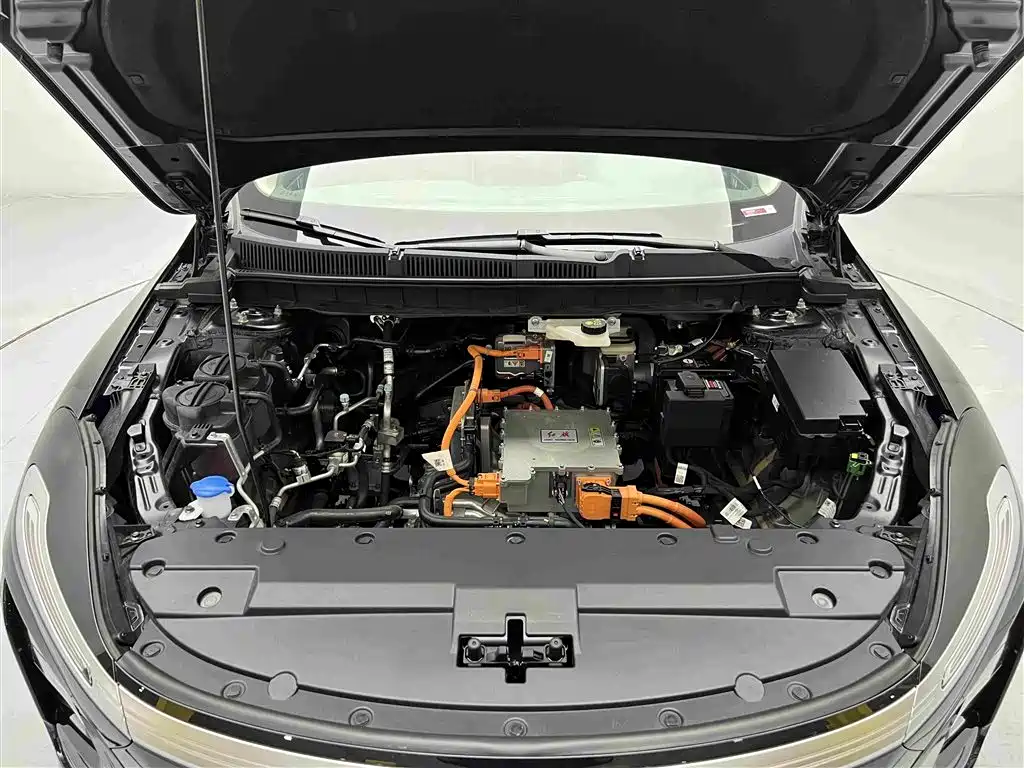 Hongqi Hongqi E-QM5 - фото 13