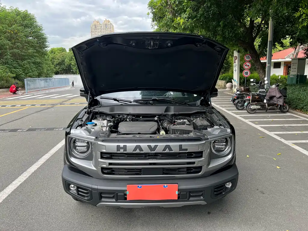 HAVAL BIG DOG
