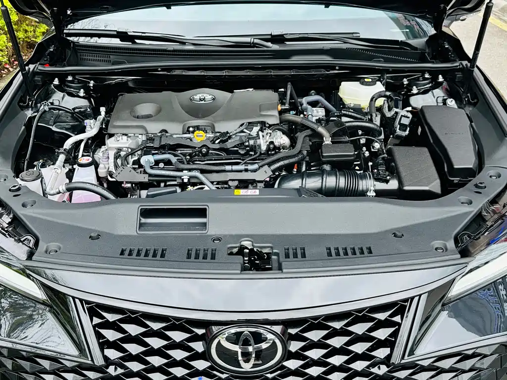 TOYOTA ASIAN DRAGON
