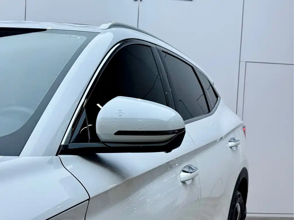 BYD SONGJIANG NEW ENERGY