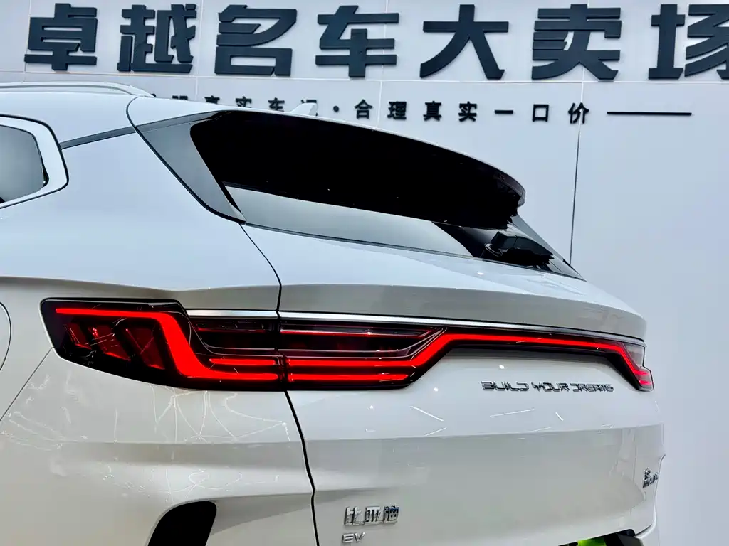 BYD SONGJIANG NEW ENERGY