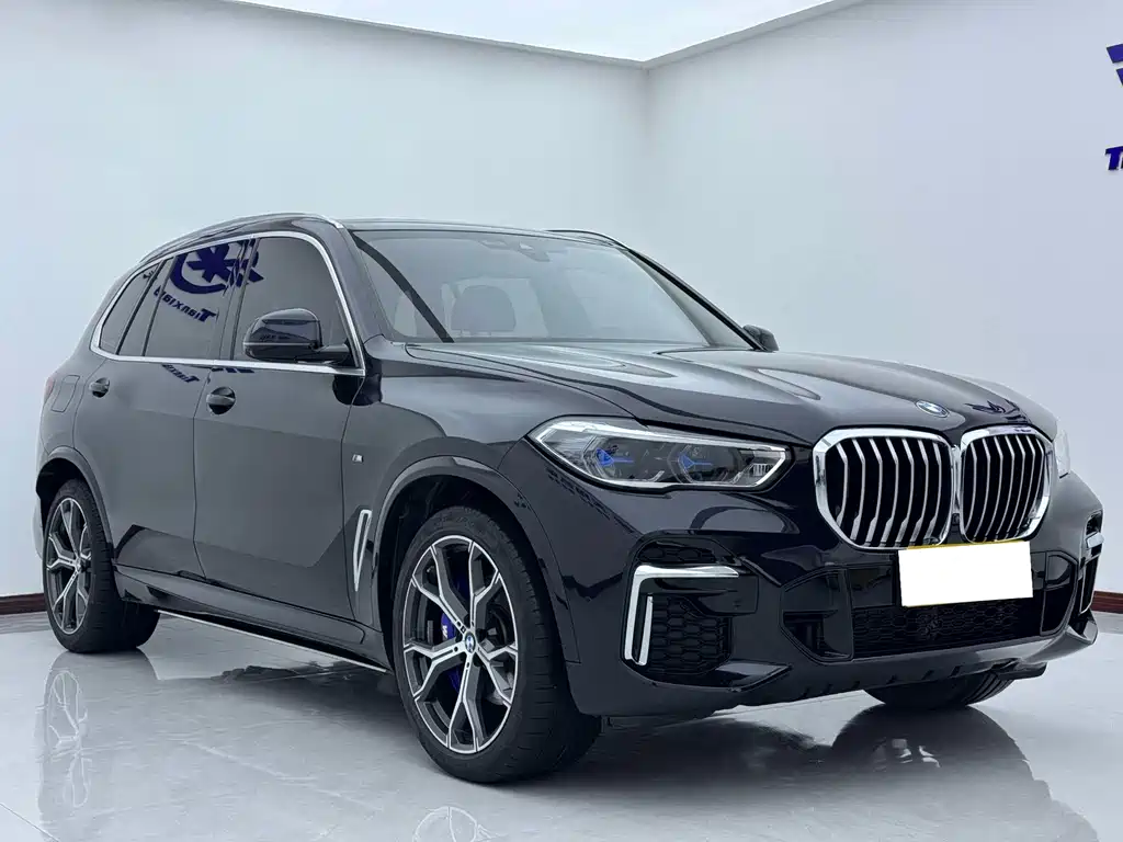 BMW X5 — миниатюра 3