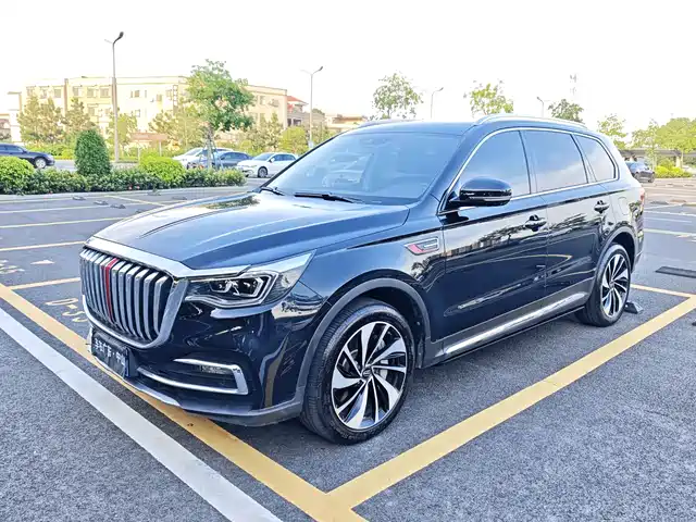 2021 Hongqi HS7