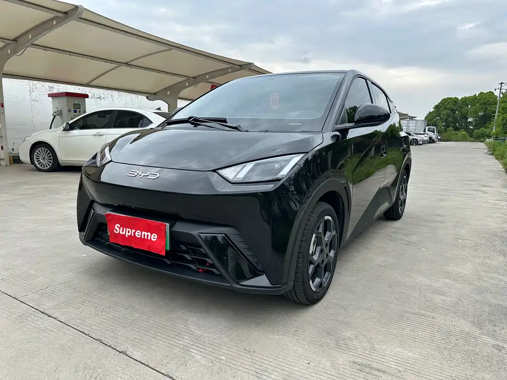 Byd Seagull 2024