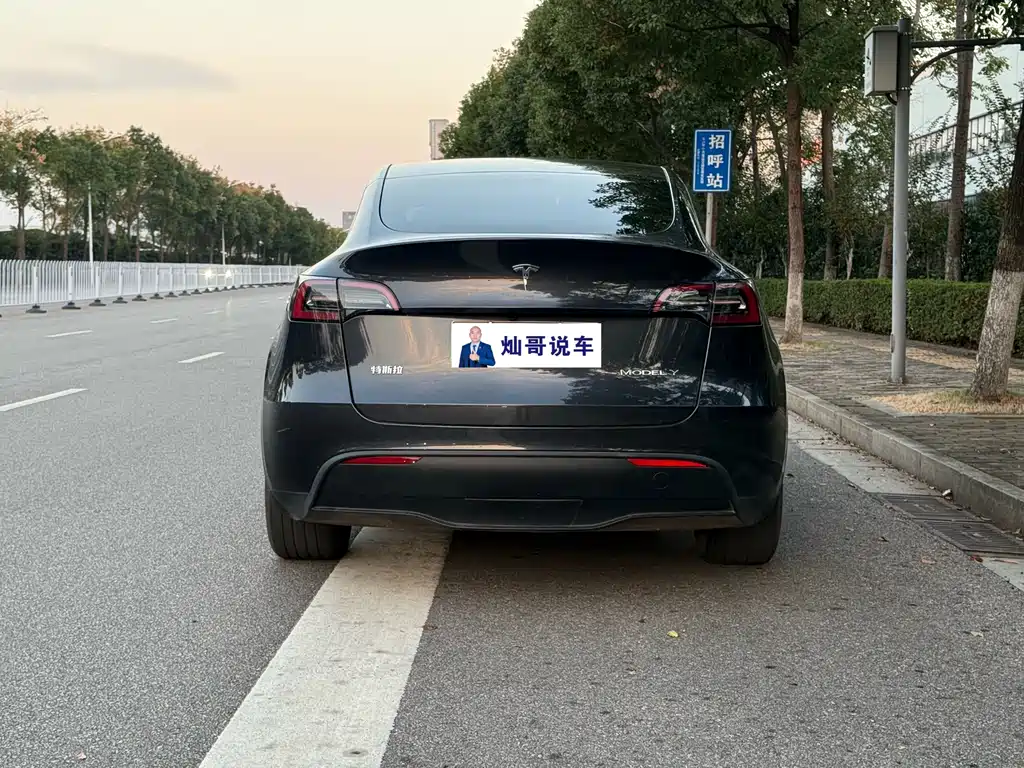 Tesla Model Y — миниатюра 10