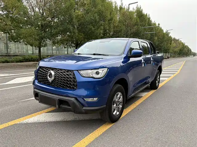 GREAT WALL CANNON 2022