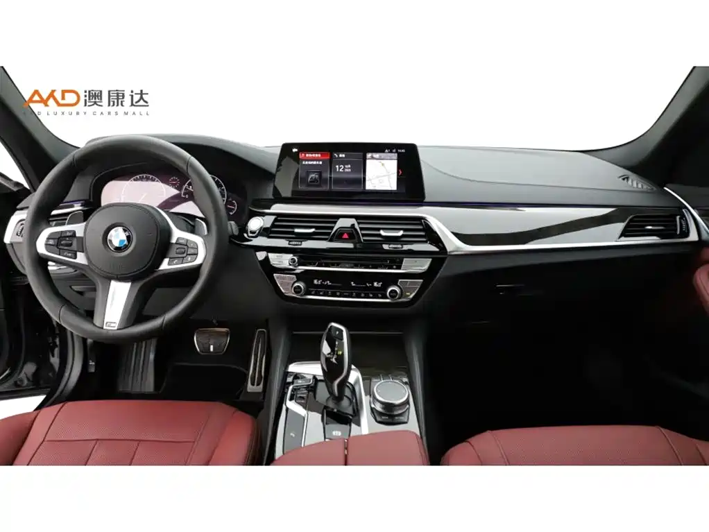 BMW 5 Series — миниатюра 5