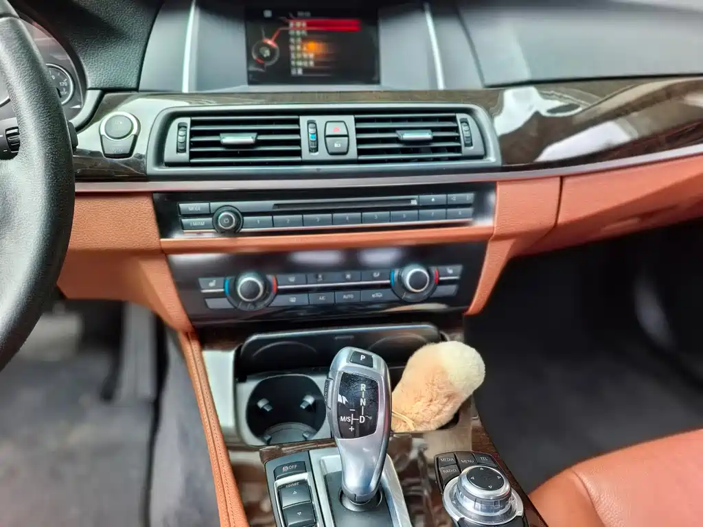 BMW 5 Series — миниатюра 8
