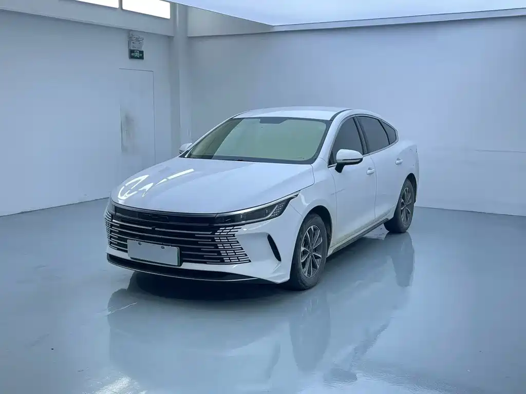 BYD Destroyer 05 — миниатюра 3