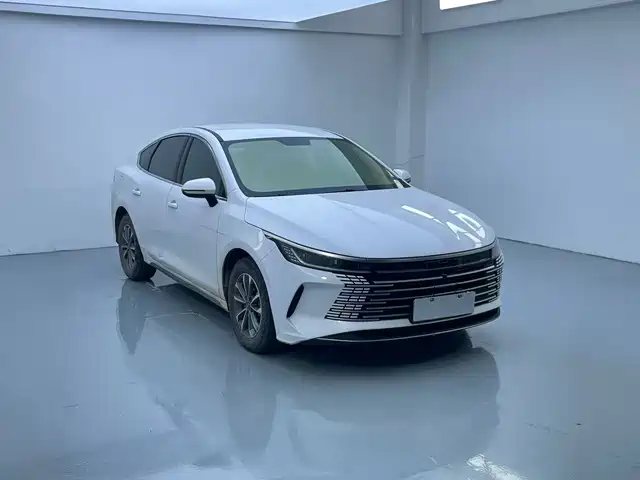 2024 BYD Destroyer