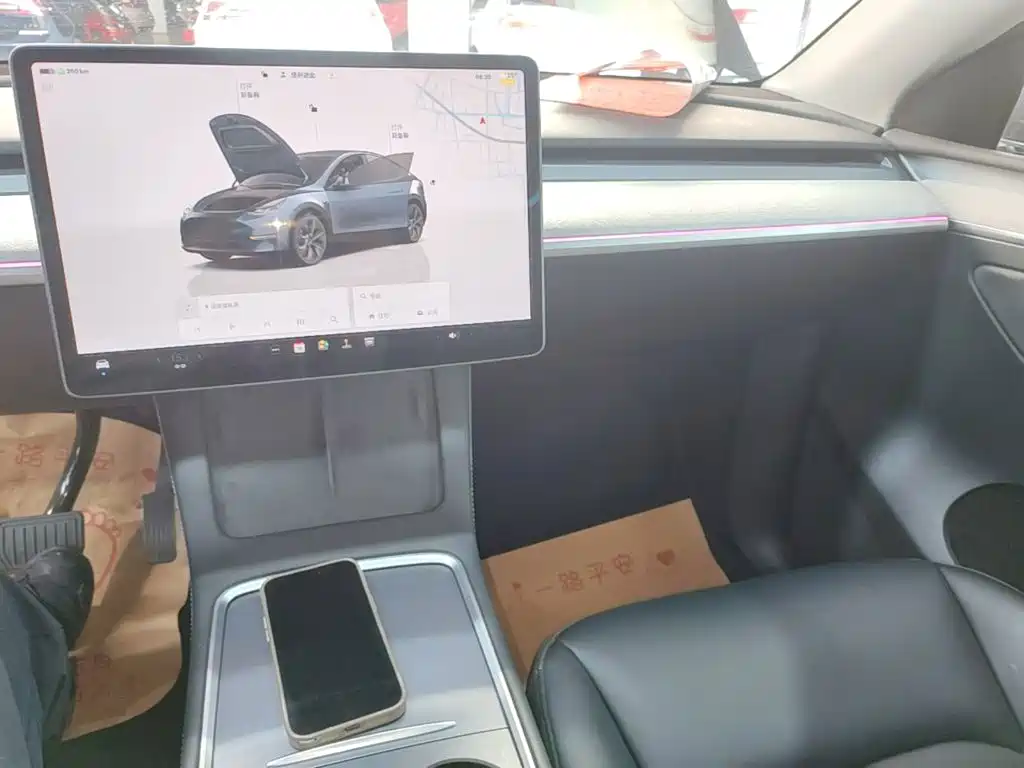 Tesla Model Y — миниатюра 13