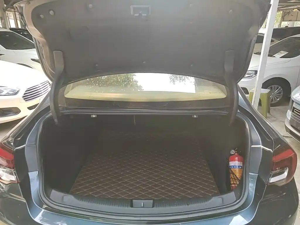 Buick Regal — миниатюра 19