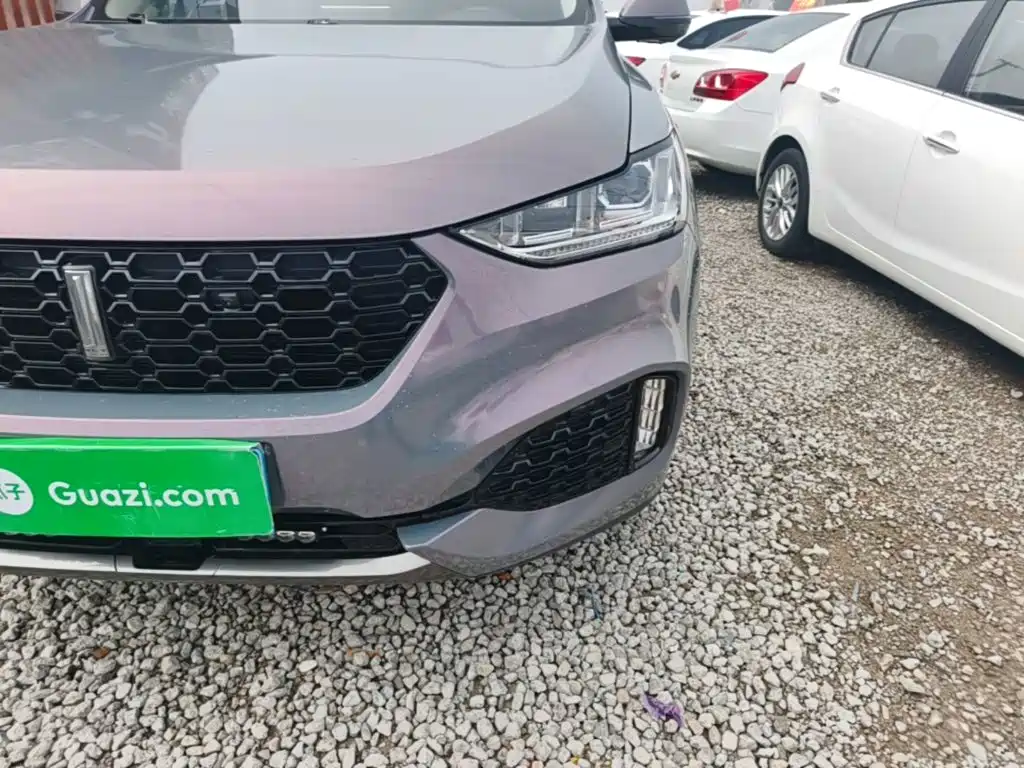 Wey Wey VV6 — миниатюра 24
