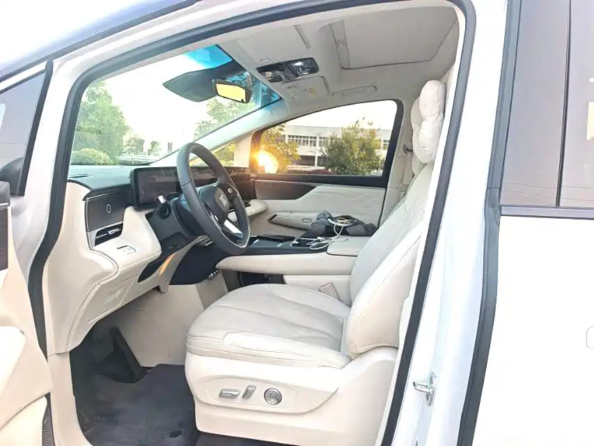 Buick Electra Encasa — миниатюра 8