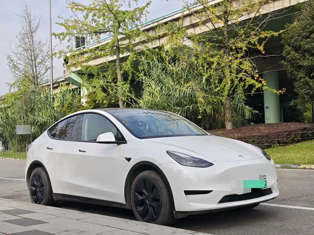 Tesla Model Y — миниатюра 2