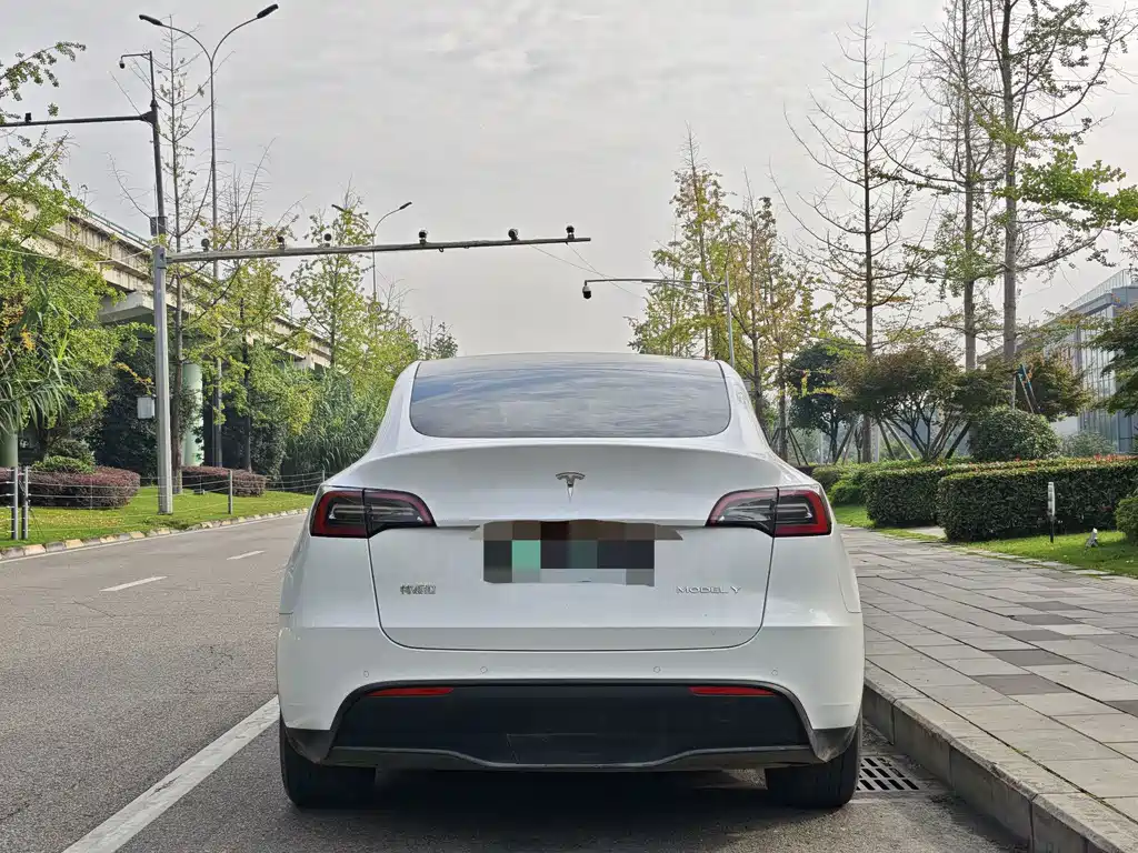 Tesla Model Y — миниатюра 9