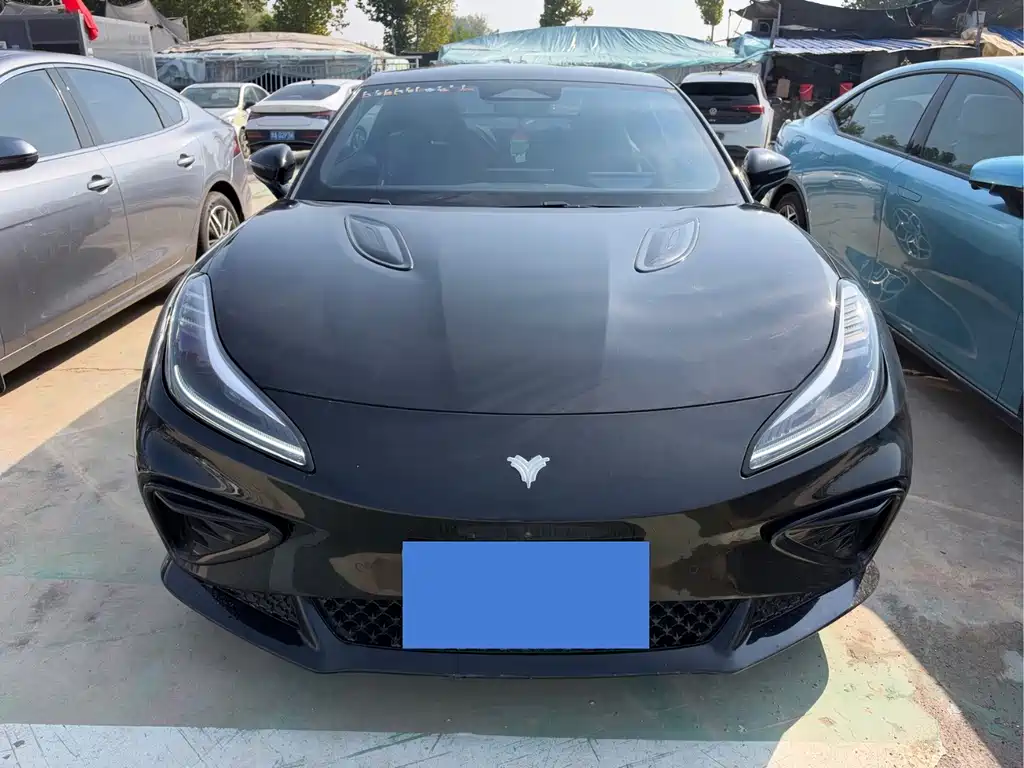 Neta Neta GT — миниатюра 2