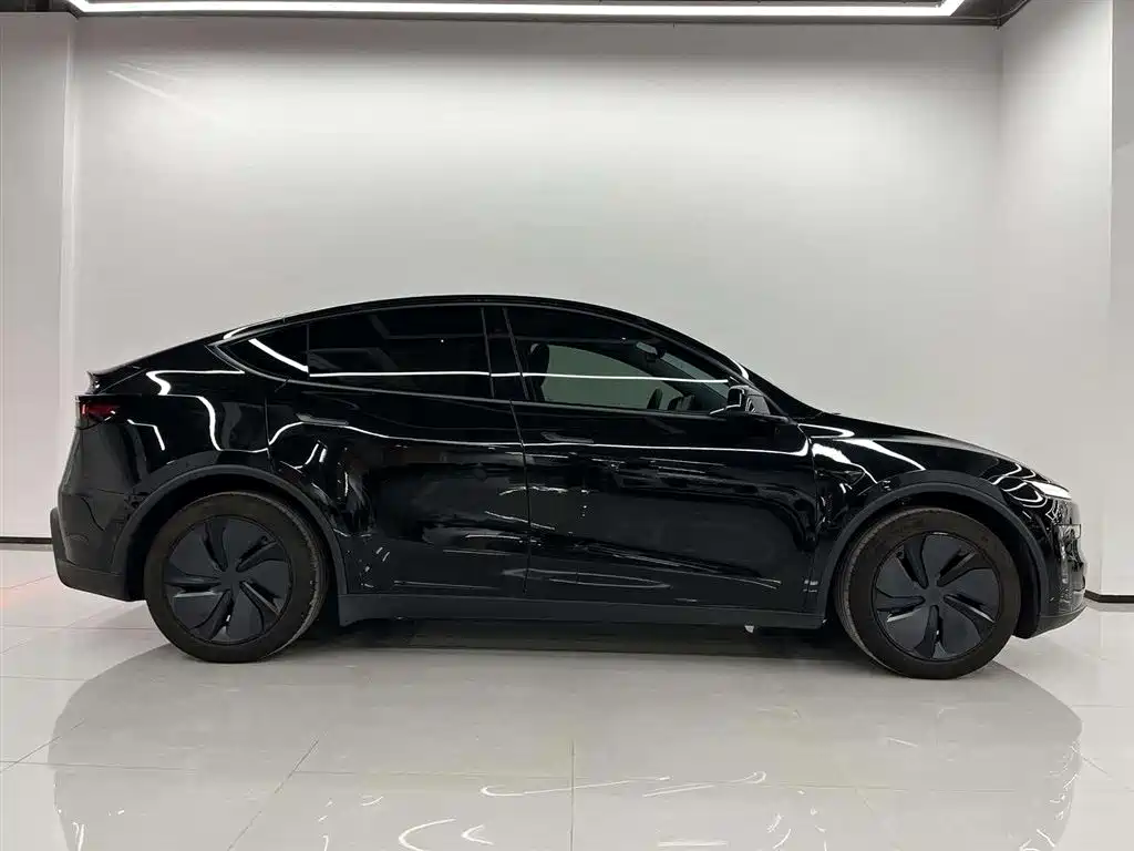Tesla Model Y — миниатюра 3