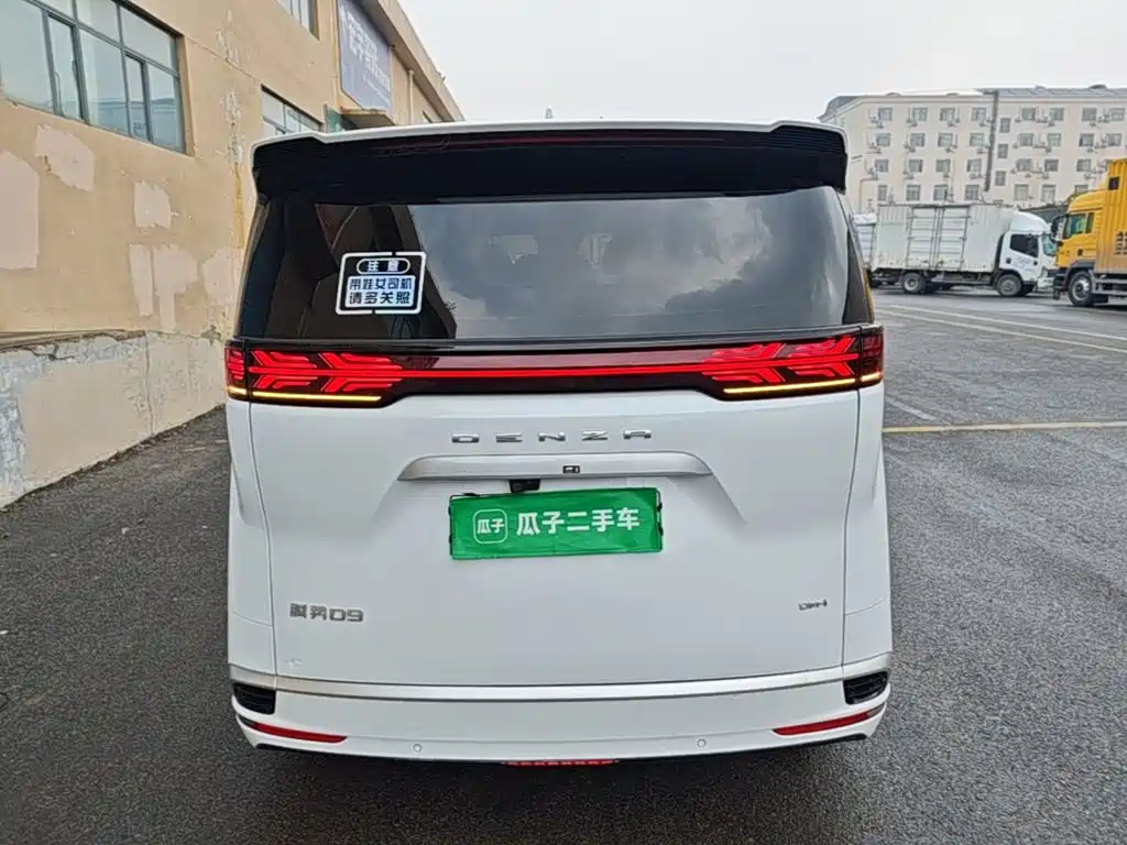 Denza Denza D9 — миниатюра 6