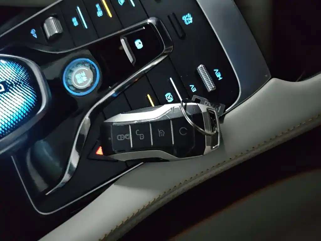 BYD PLUS New Energy — миниатюра 10