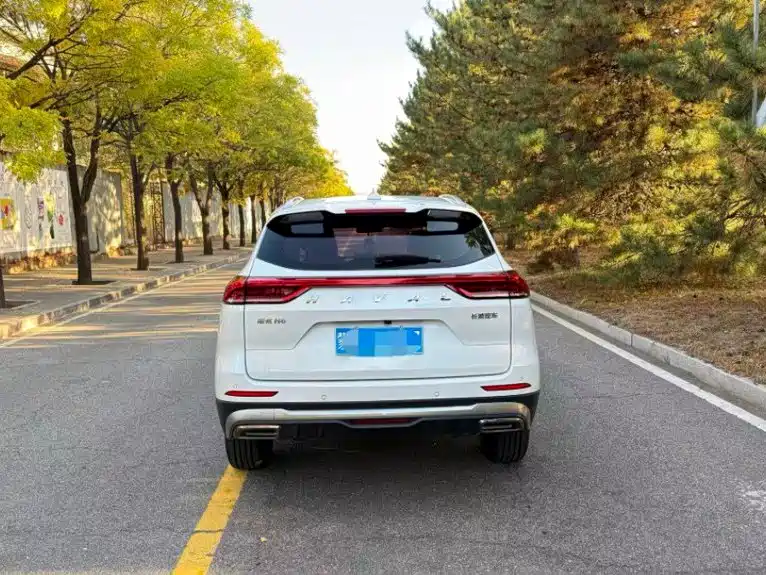 Haval H6 — миниатюра 9