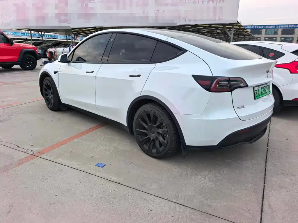 Tesla Model Y — миниатюра 8