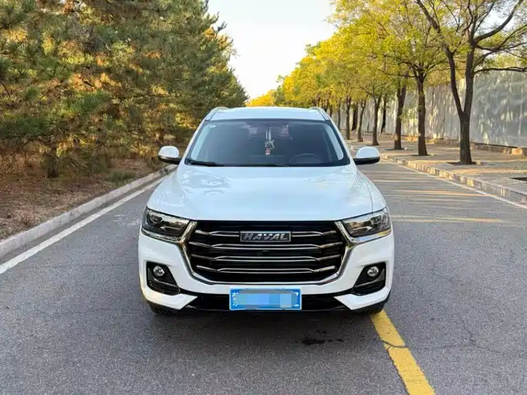 Haval H6 — миниатюра 2
