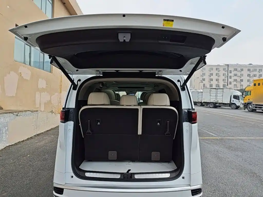 Denza Denza D9 — миниатюра 19