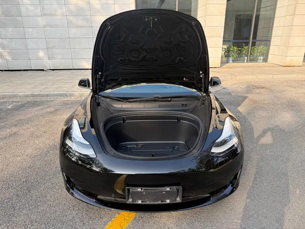 Tesla Model 3 — миниатюра 14