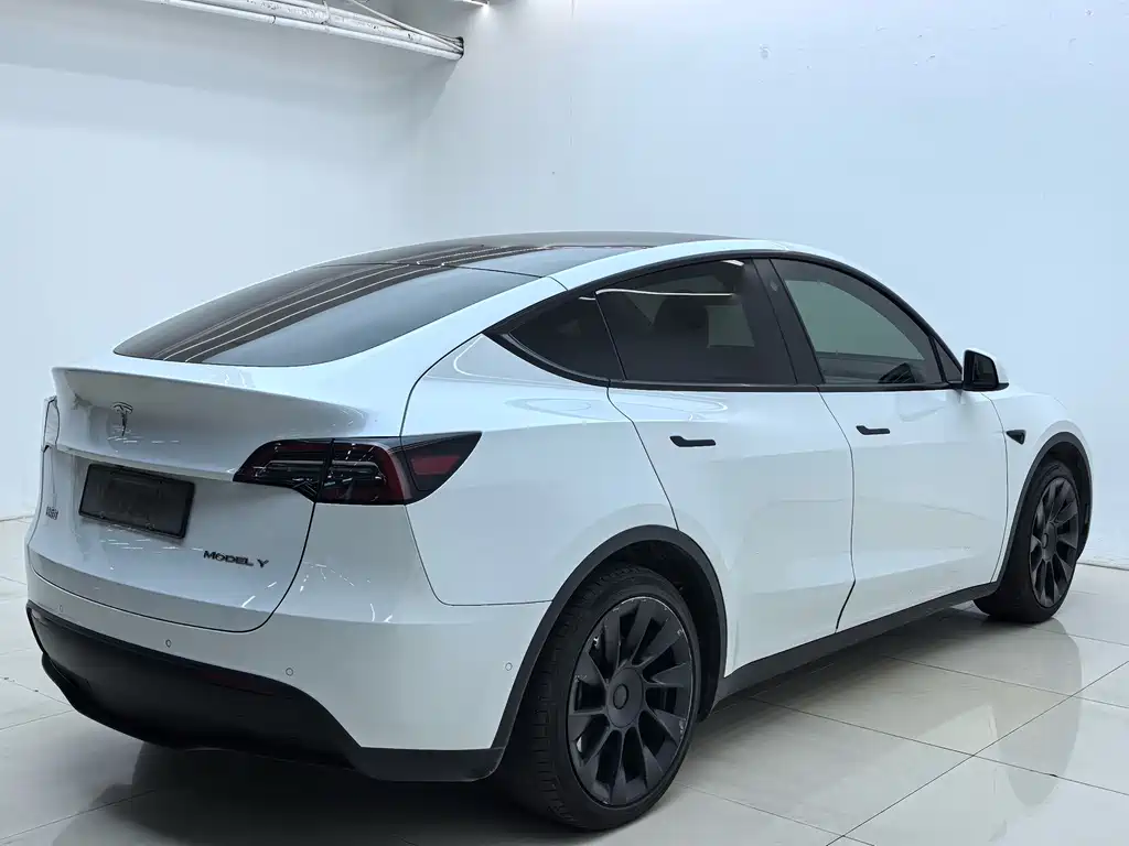 Tesla Model Y — миниатюра 9