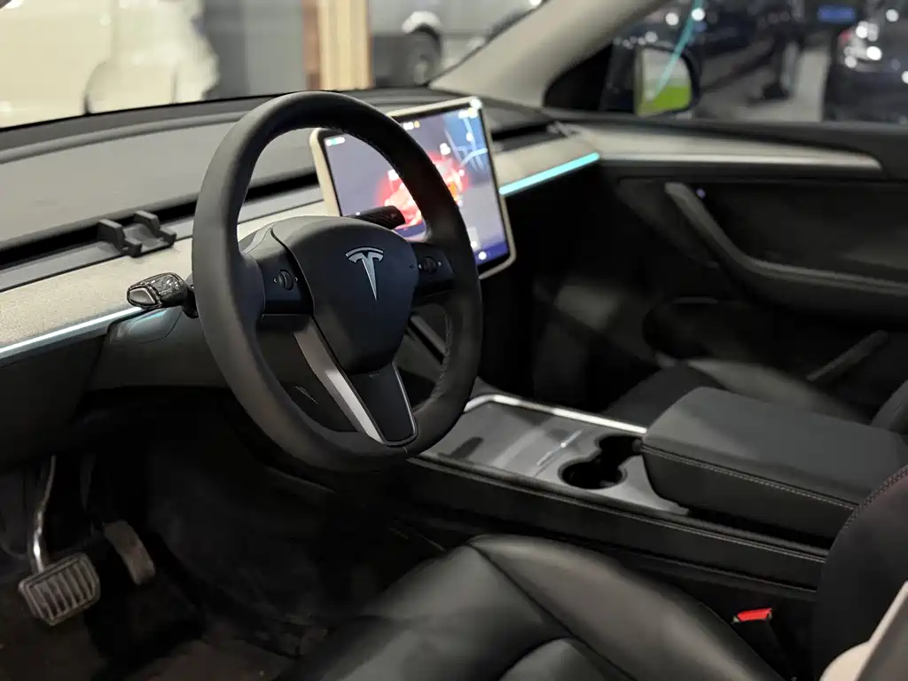 Tesla Model Y — миниатюра 4