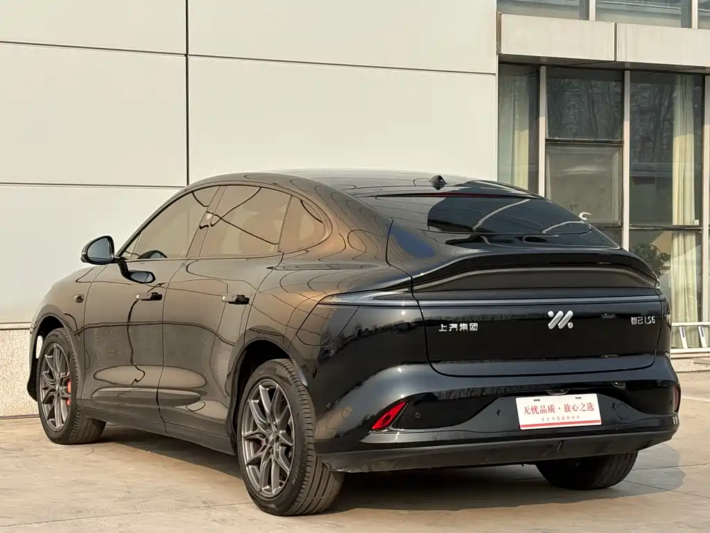 ZHIJI AUTOMOBILE ZHIJI LS6