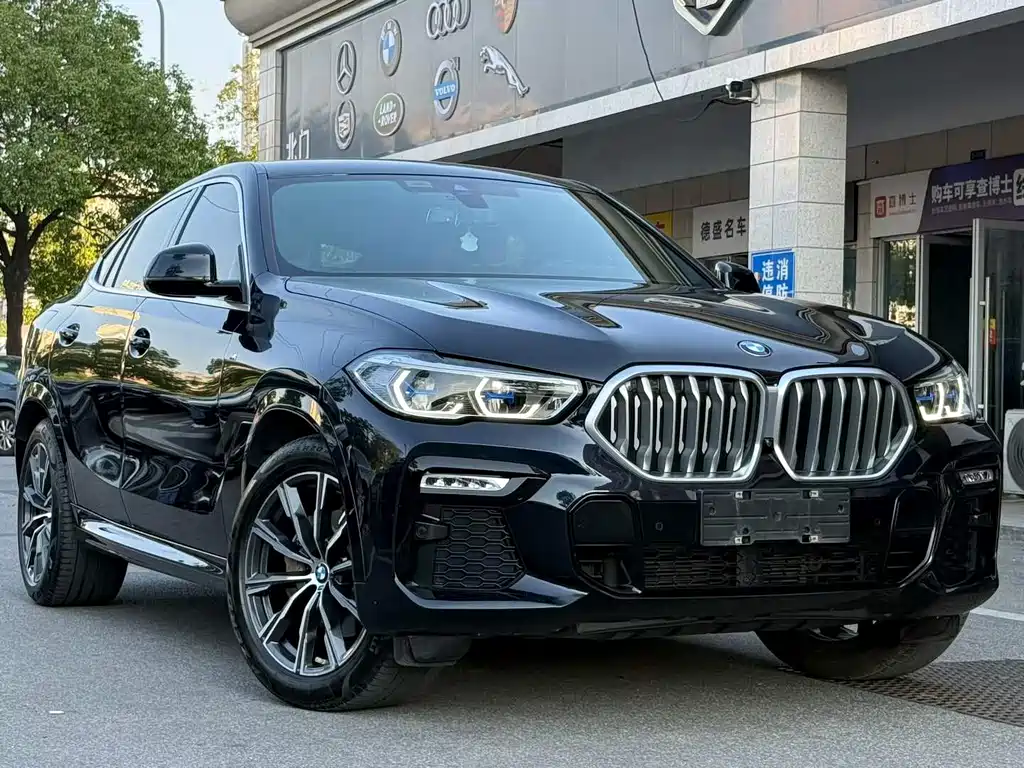 BMW X6 — миниатюра 3