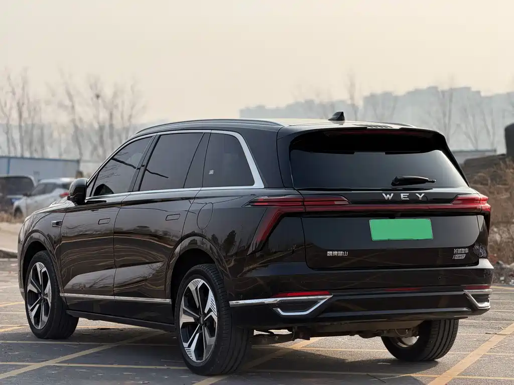 WEI PAI WEI BRAND BLUE MOUNTAIN