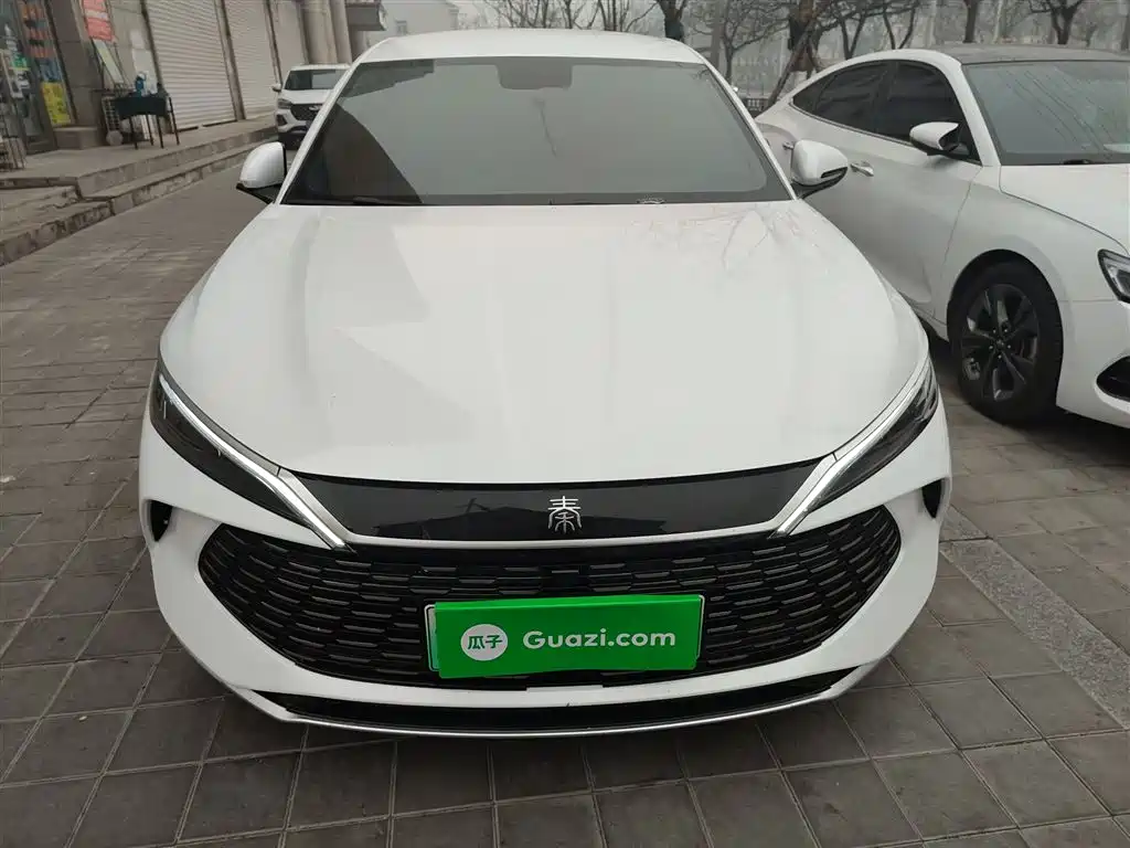 BYD QIN L