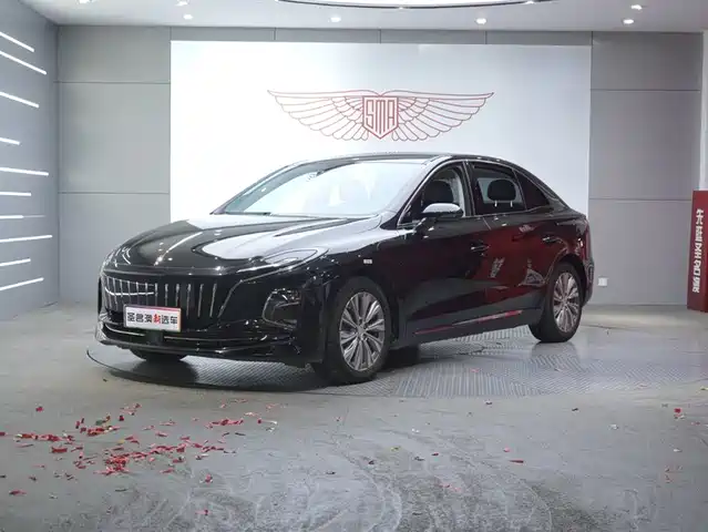 Hongqi HONGQI E QM5 2023