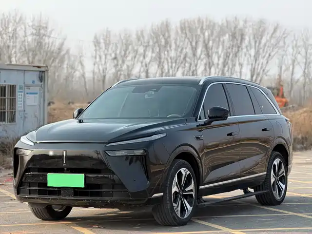 WEI PAI WEI BRAND BLUE MOUNTAIN 2024