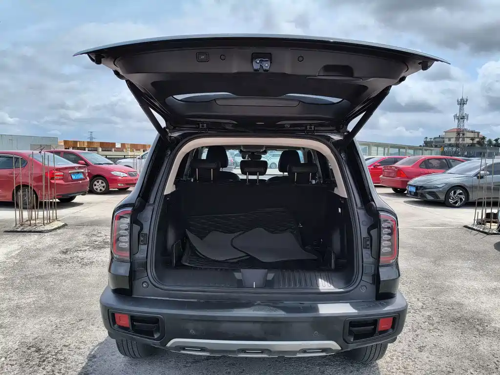 Haval Dargo 1.5T DCT Border Collie Edition, фото 25