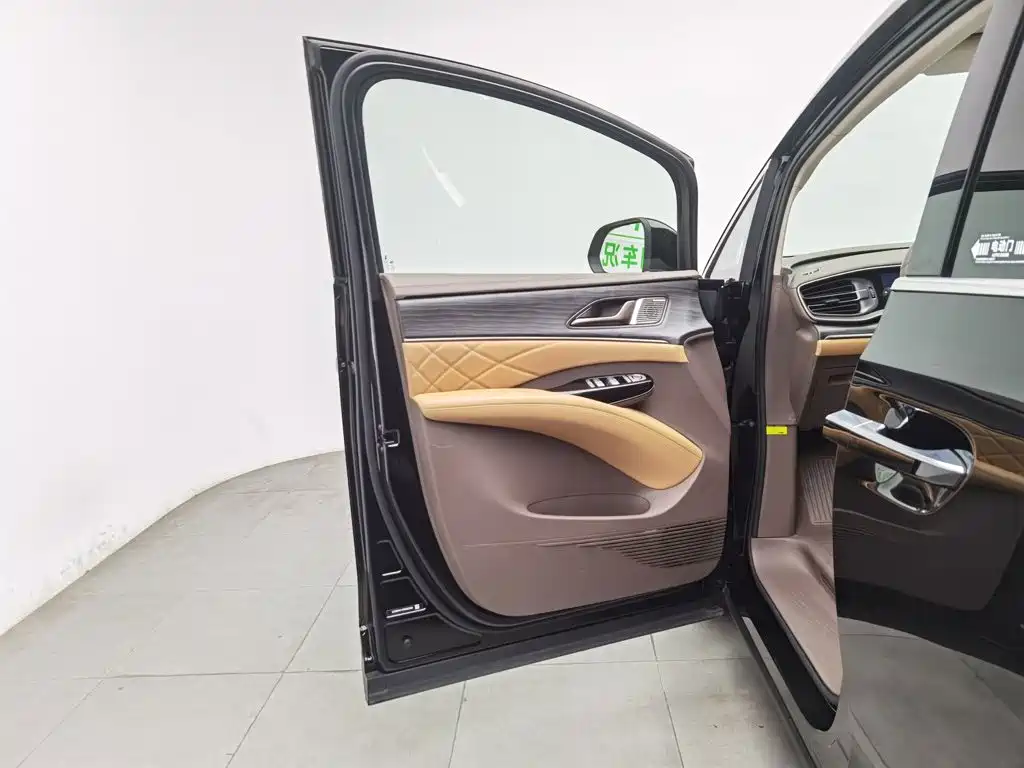 Denza Denza D9 — миниатюра 8