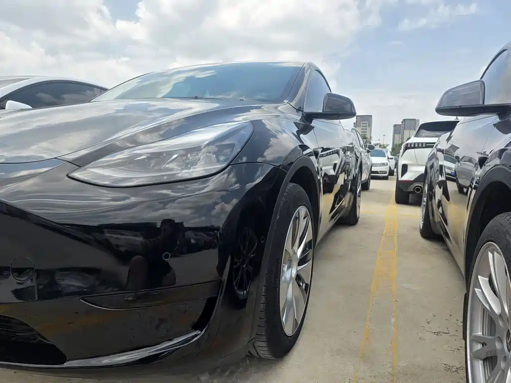 Tesla Model Y — миниатюра 6