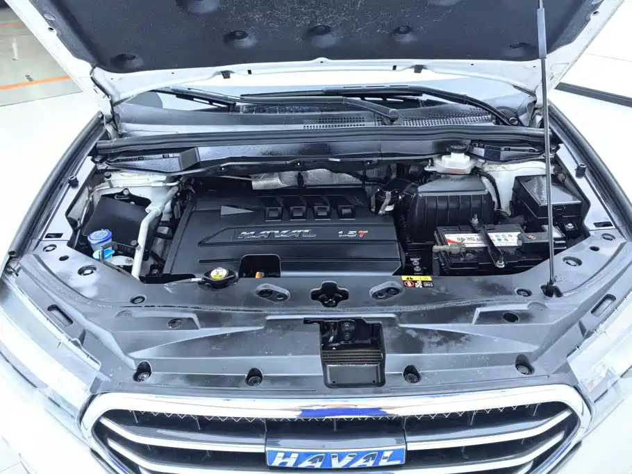 Haval H6 Coupe — миниатюра 10
